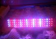 Фитолампа. LED светильник для растений, рассады. 7.5 Вт